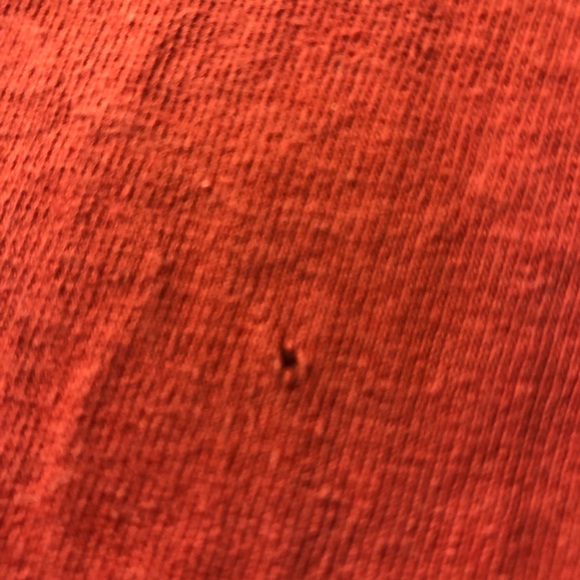 Pearl Jam No Code 1996 Concert T-Shirt Large, Single Stitch - Picture 6 of 11